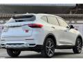 HAVAL F7 20218