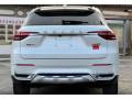 HAVAL F7 20217