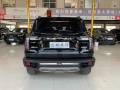 HAVAL DARGO 20217